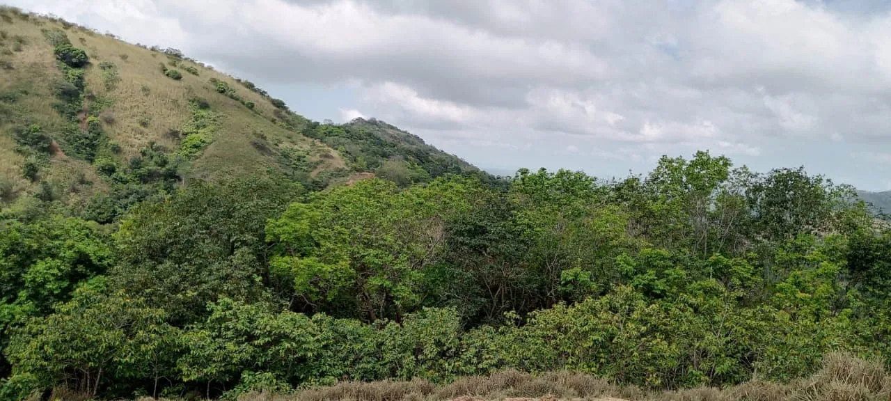 Galería imagen número 1