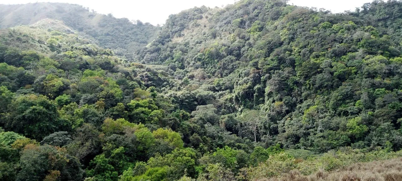 Galería imagen número 2