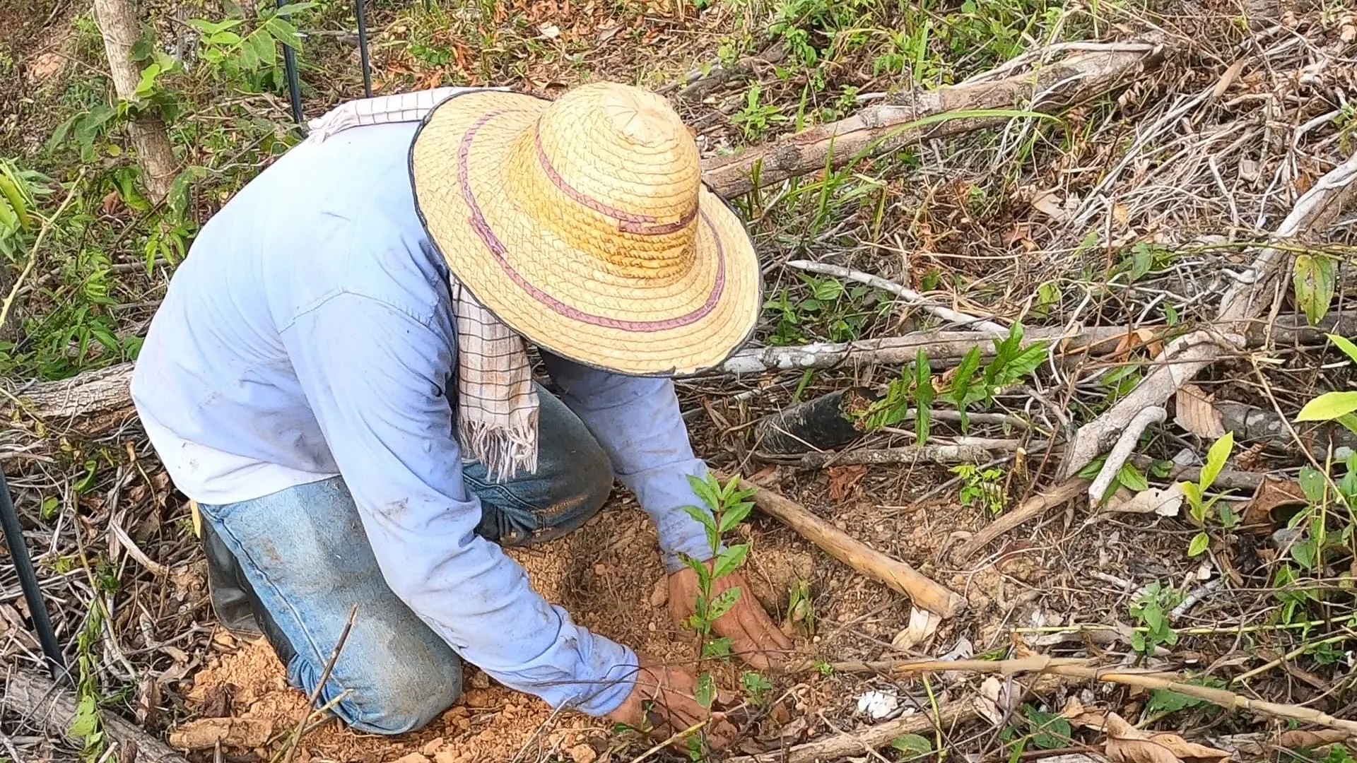 Galería imagen número 13