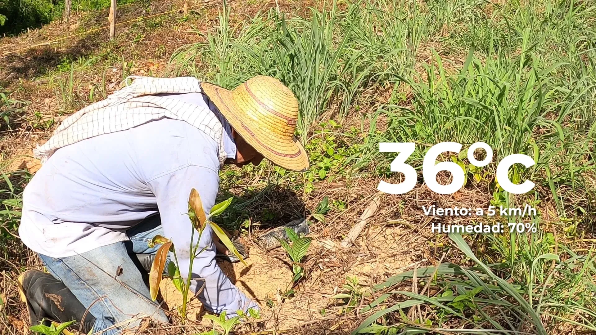 Galería imagen número 15