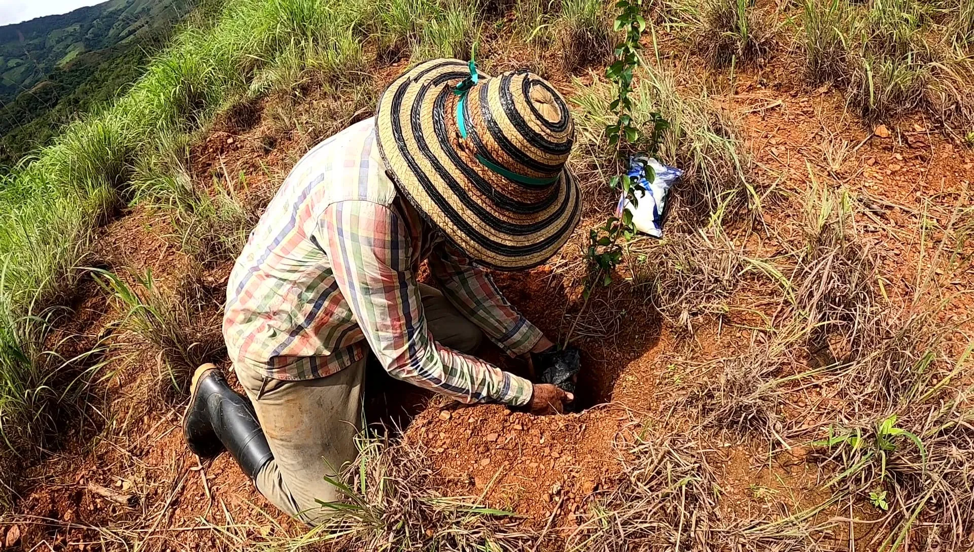 Galería imagen número 3