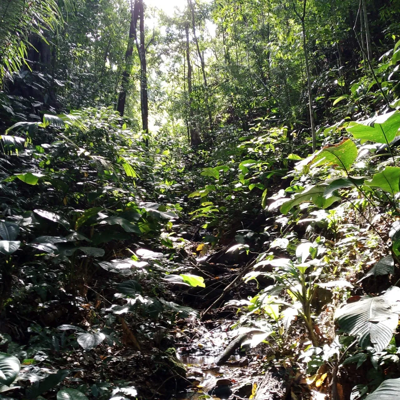 Galería imagen número 5