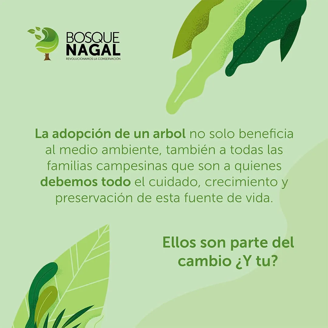 Galería imagen número 7