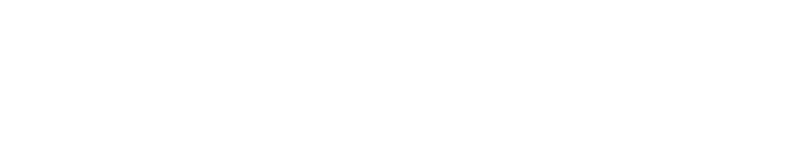 IngeSoftNet S.A.S. Logo grande del footer